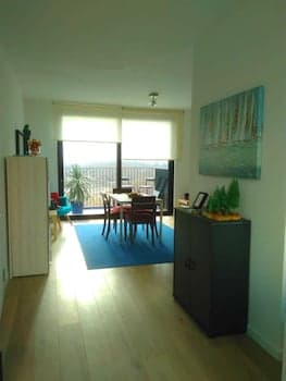 Fully Equipped Sunny Apartment