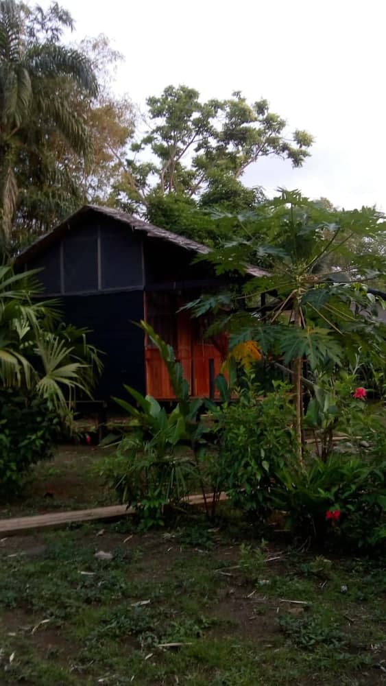 Rio Mar Bahía Solano Choco Colombia