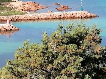 Aria di Vacanza - Corallina