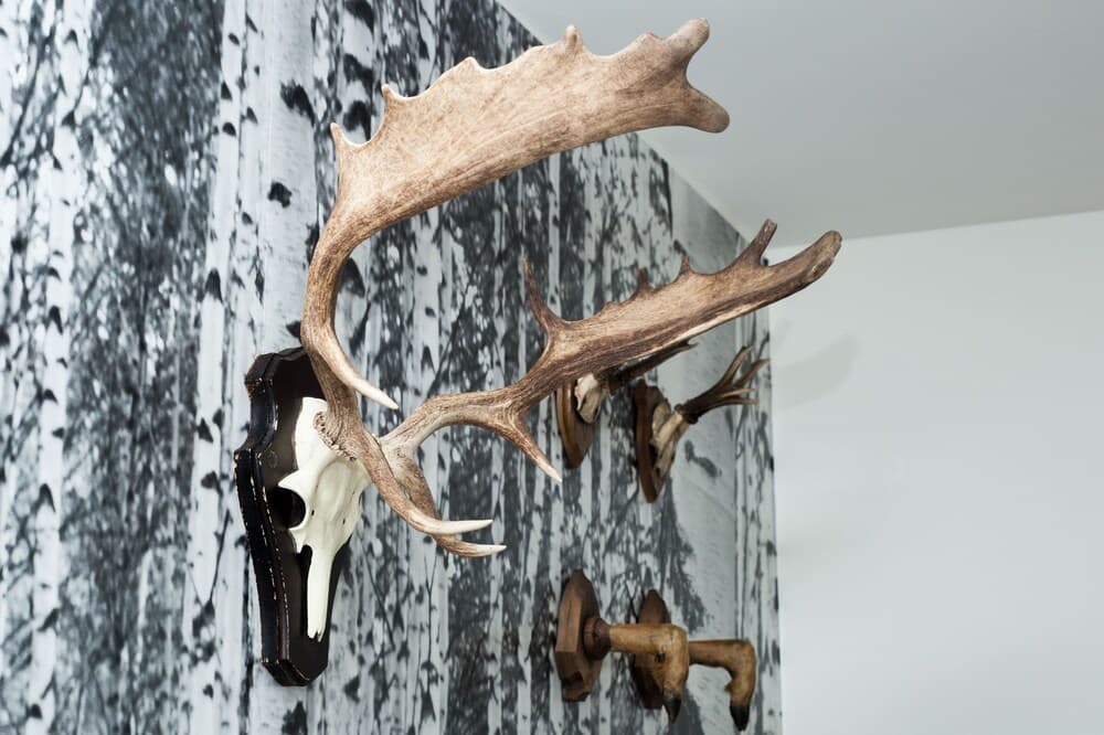 Lodewijck Slapen & Tafelen