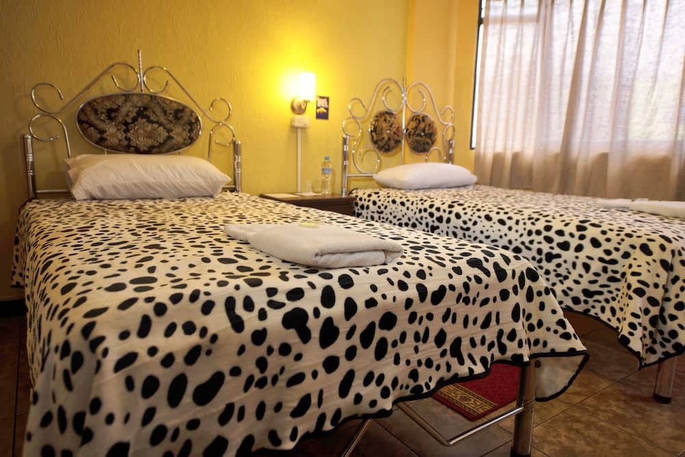 Mirador Oro Verde Quilotoa