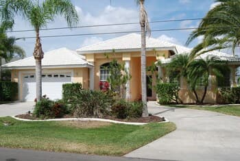 House Sunflower by Vacationhit