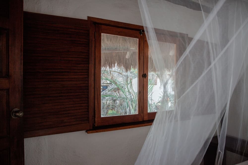 Blue Holbox Beach Front