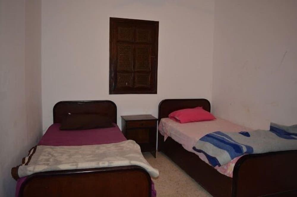 Oasis Fighting Kangaroo