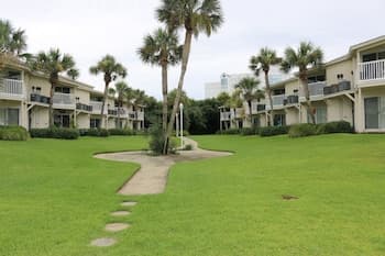 Sand Dollar by Surfside VR