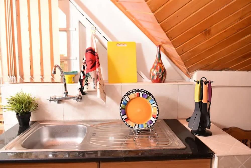 Sherry Homes Skyline Penthouse