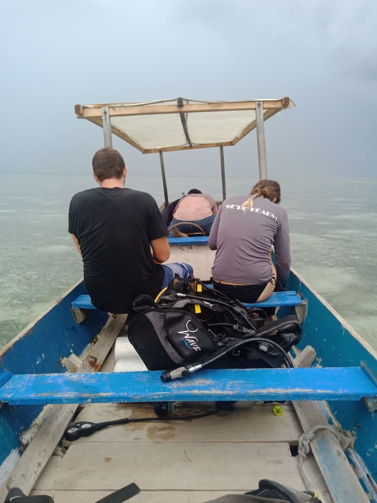 Hoga Island Dive Resort Wakatobi