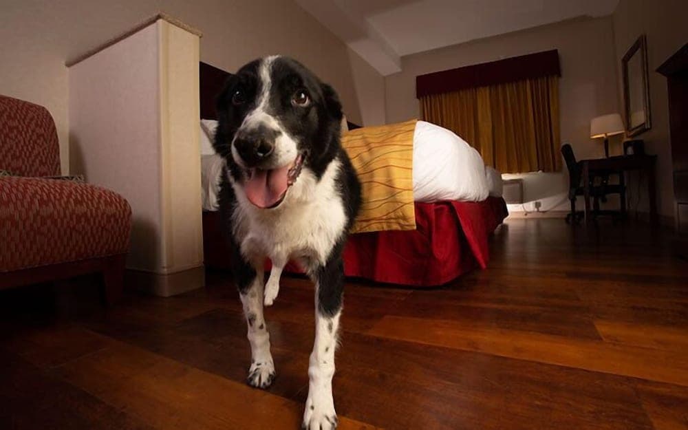 Wind River Hotel and Casino