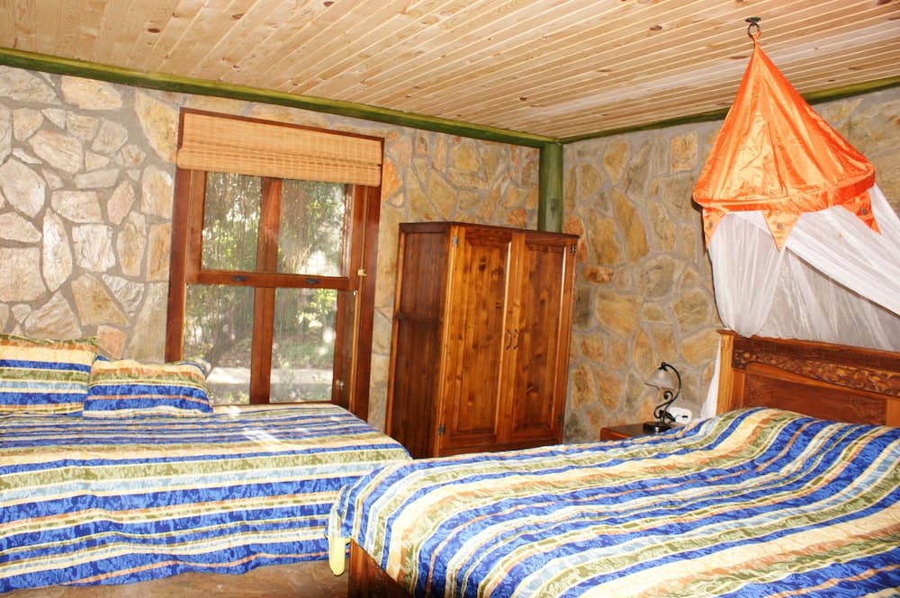 Lazy Lizard Boutique Hotel