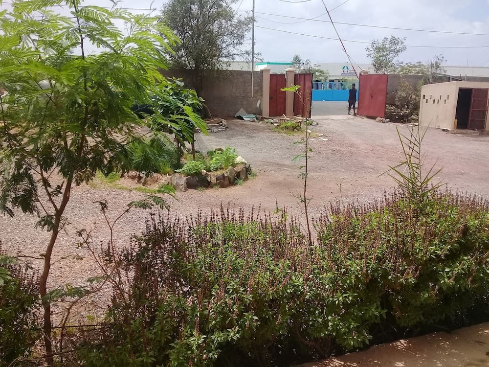 Arta Hotel de la Paix