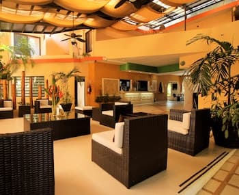 Maya Tulipanes Express