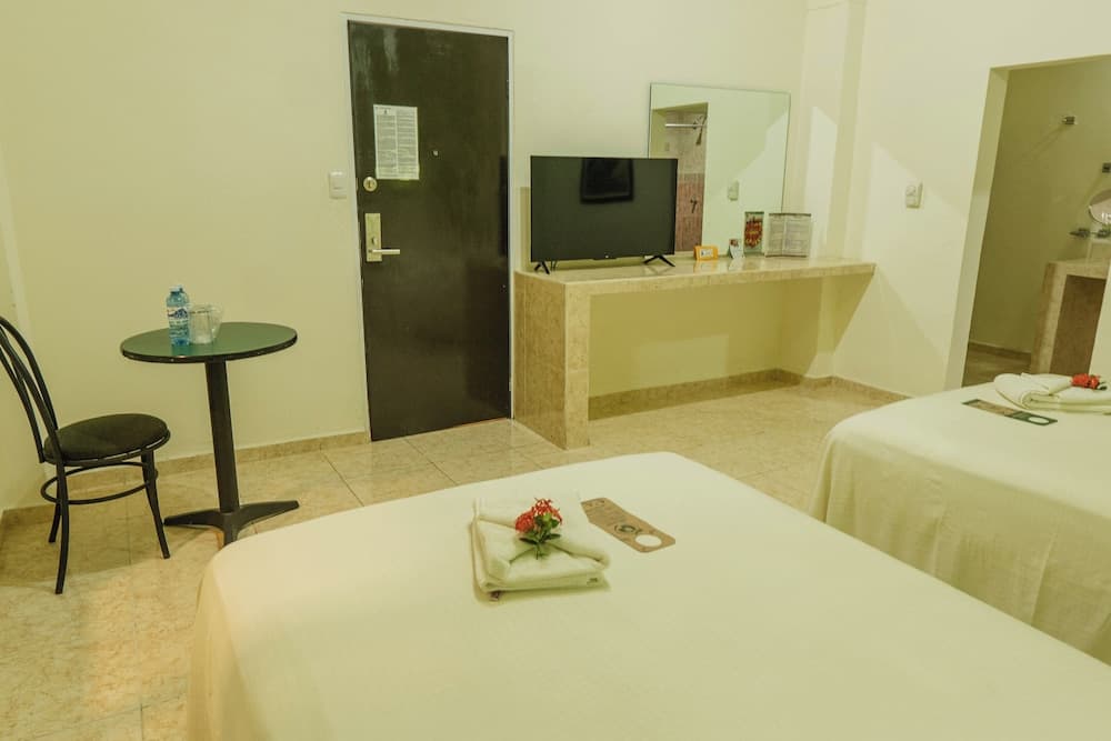 Maya Tulipanes Express