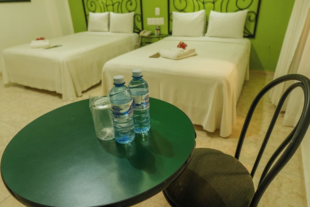 Maya Tulipanes Express