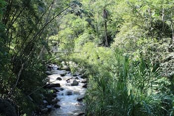 Hostería Río Escondido