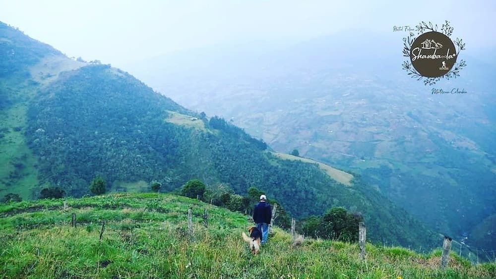 Hostel Ferme Shamba La