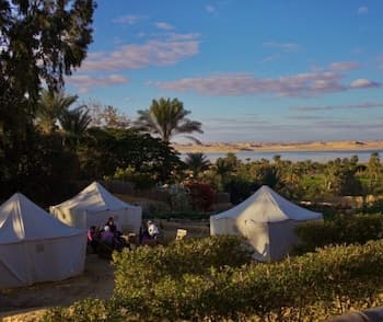 Tunis Tone - Tunis Village Campsite