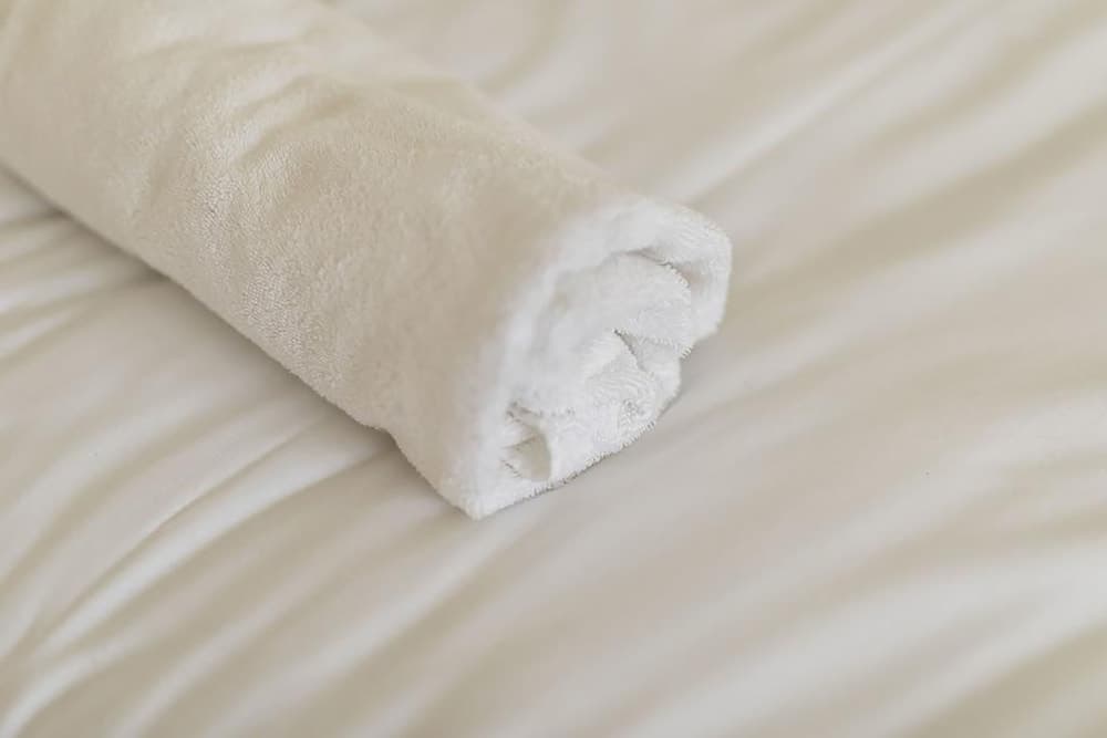 North Circular Studios 2