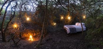 Stargazer Camp - Bellevue Forest Reserve