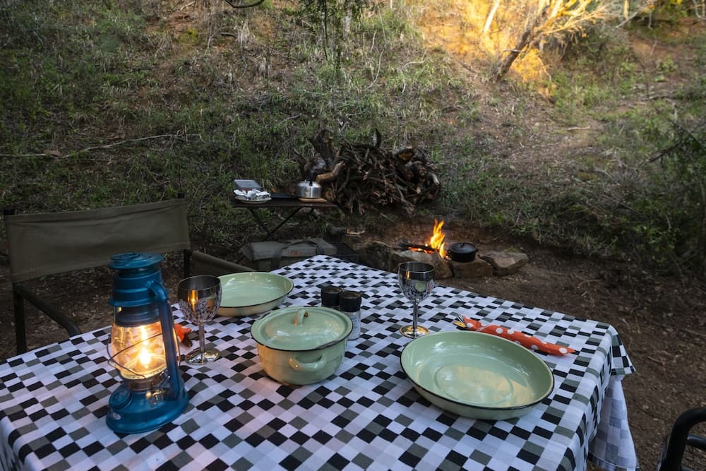 Stargazer Camp - Bellevue Forest Reserve