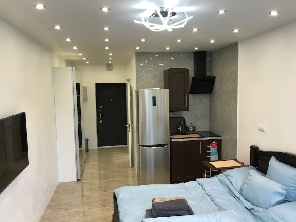 DZirconia Elagin Island Apartments