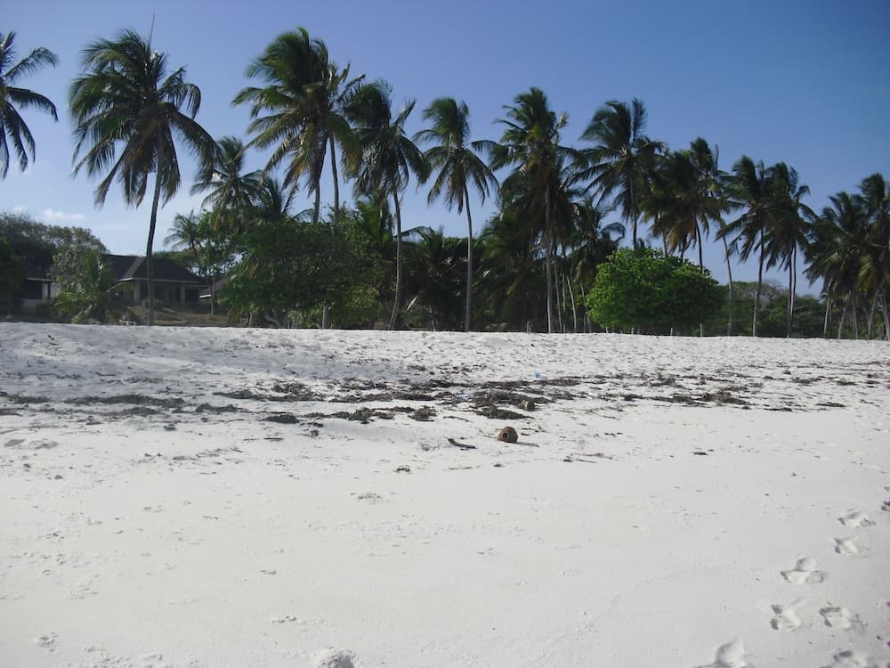 Bat Housing Co-Operative Society