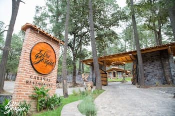 Cabañas La Vid Del Bosque