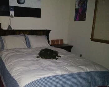 Evergreen Village Retreat