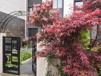 Suzhou Taihu Meilanju House