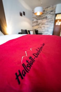 Apartment Hallstatt Dachstein Inn