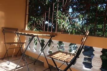 Under the Mango Tree