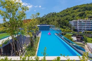 The Aristo-2 by Holy Cow 614