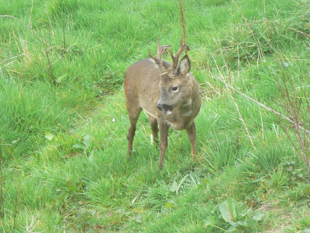 Old Keepers Cottage B&B