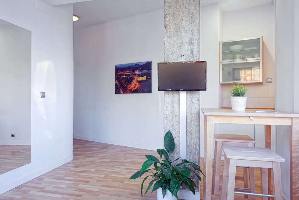 SanSebastianForYou  Zurriola Apartment