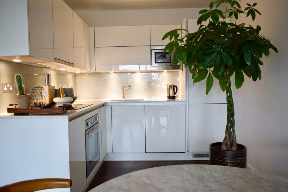 Contemporary 1 Bedroom Flat With Stunning London View