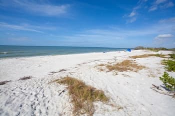 Fort Myers Beach Area 7360