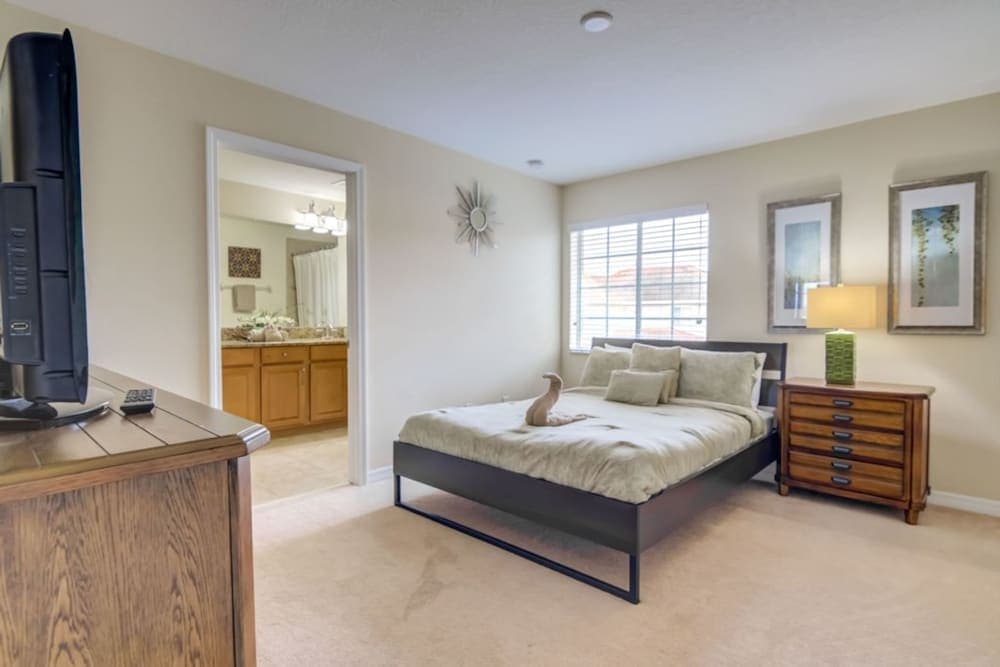 Paradise Palms 8965 Cat