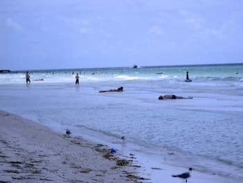 Anna Maria Island 109