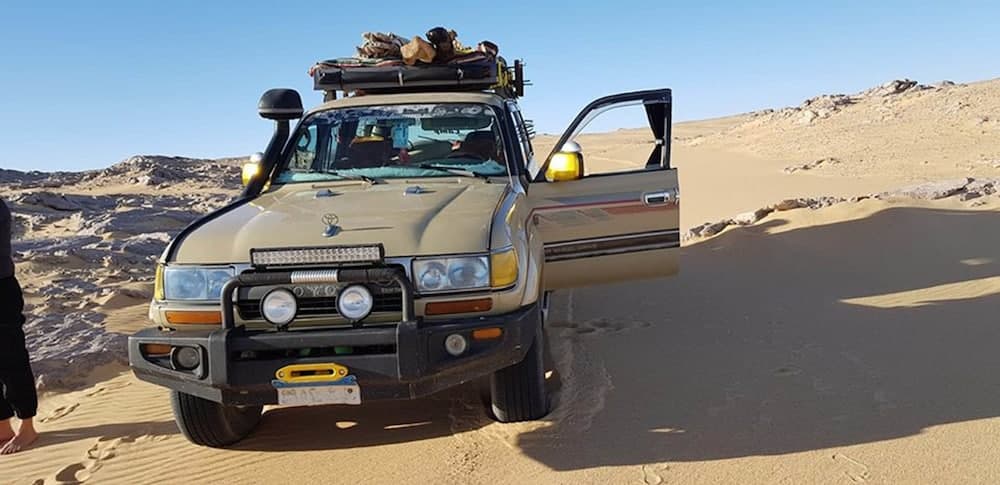 Le Jardin Sous la Lune