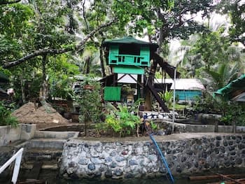 Nature Green Forest Resort
