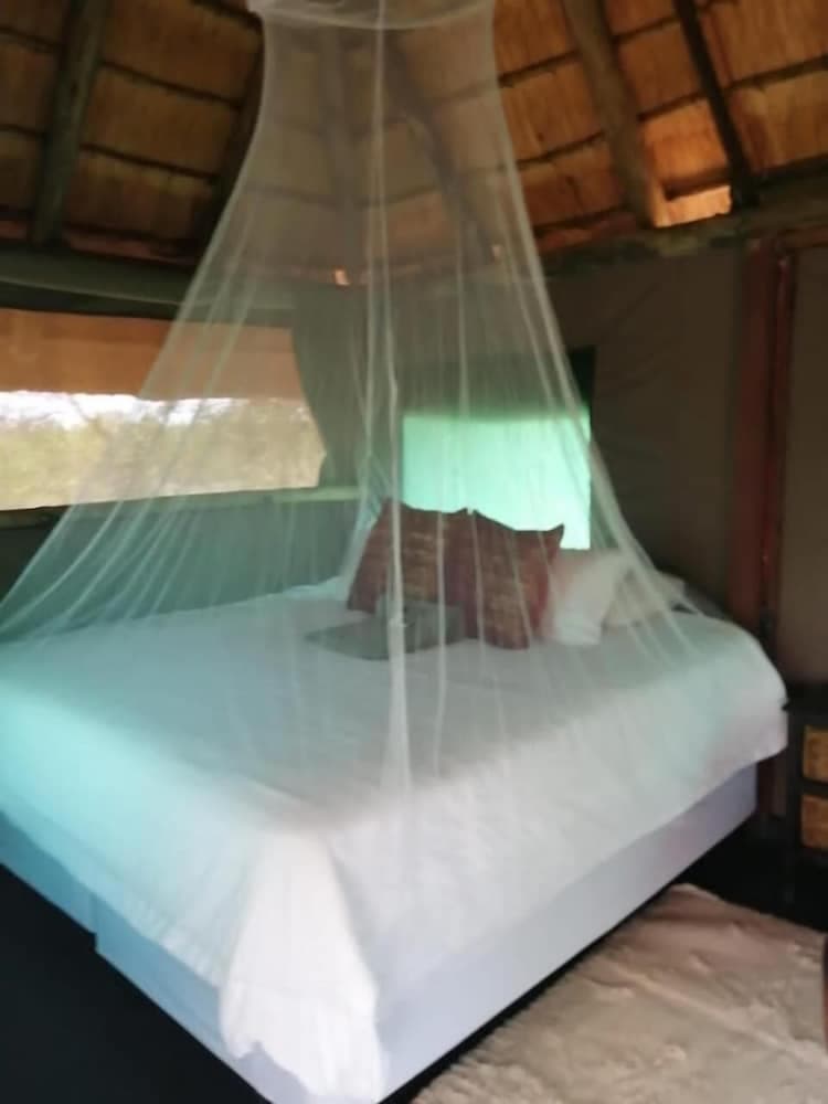 Buffalo Tented Lodge