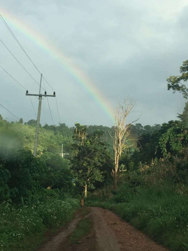 Wawee Strawberry House