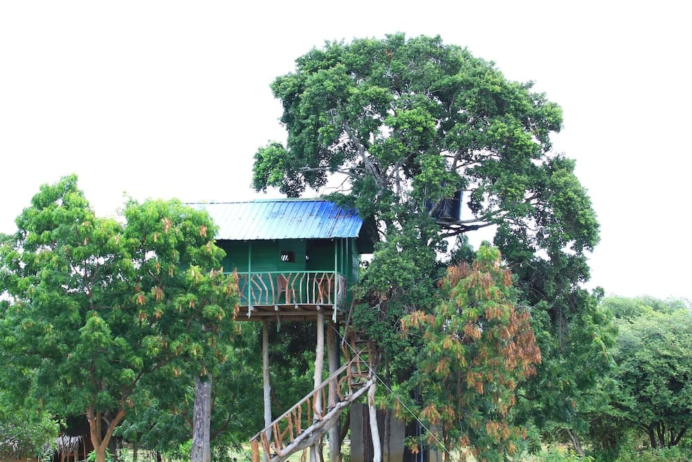 Yala Wilderness Safari Camp