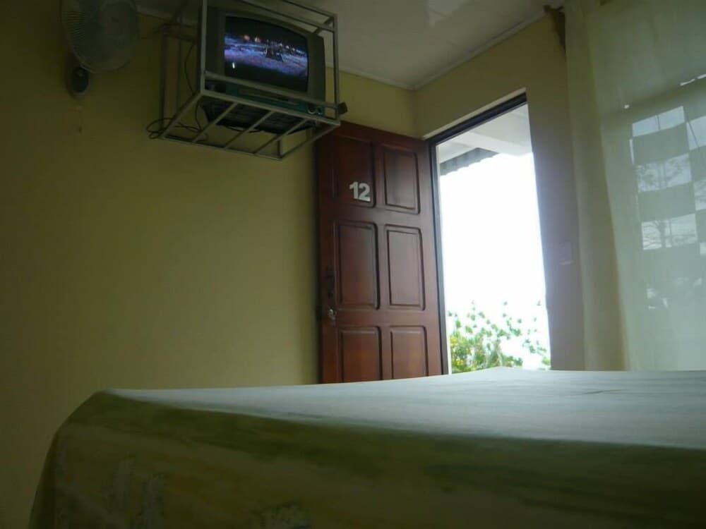 Hotel Brisas Del Volcán Platanar