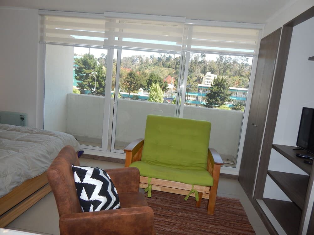 411A Apartamento Studio Plaza Viña