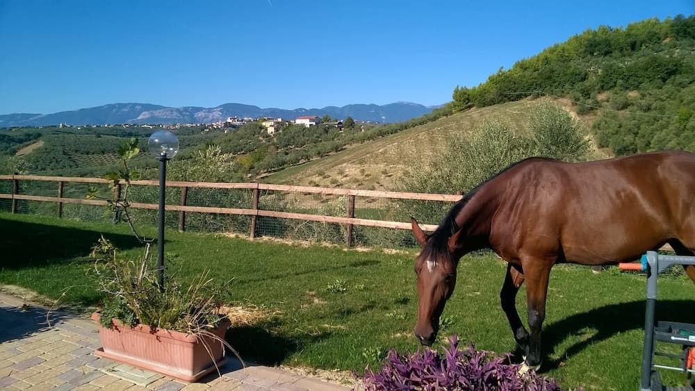 Agriturismo Collecera