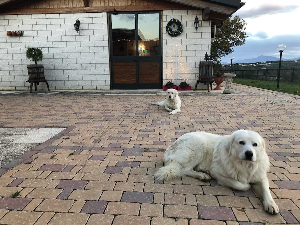 Agriturismo Collecera