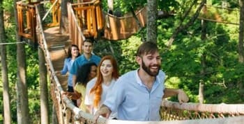 Whispering Pines 451