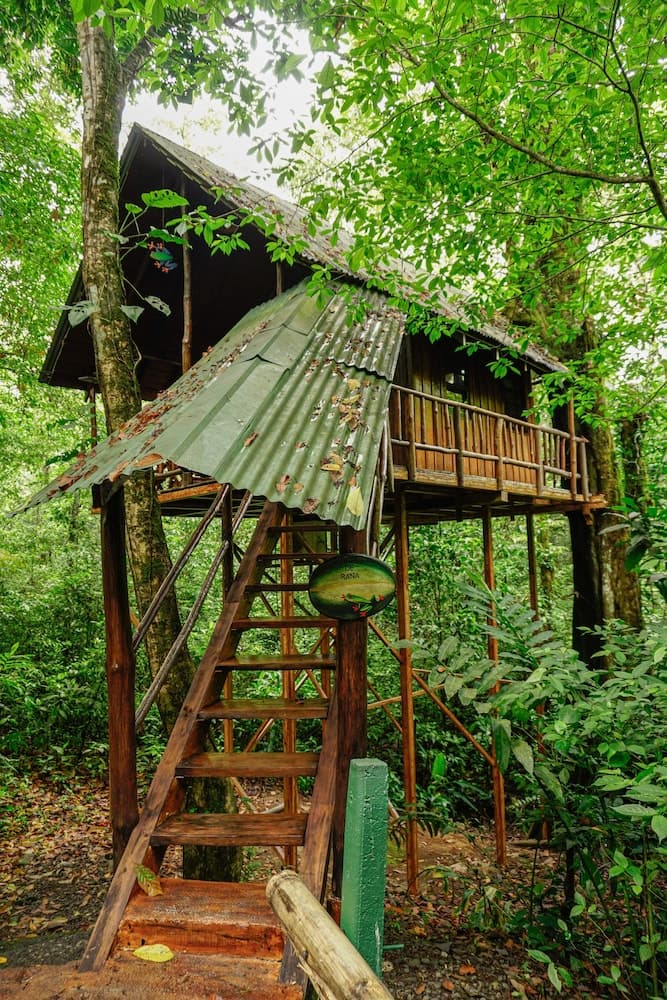Tree Houses Hotel Costa Rica
