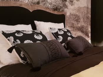 Nature & Chateaux à Azay le Rideau