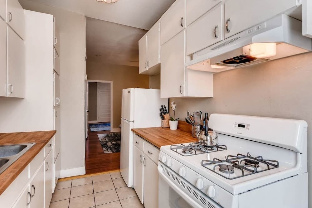 The Blue Rino - A Modern Experience